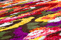 Flower carpet, Grand Place, Brussels