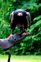 Singapore Zoo