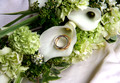 Weddings / Mariages