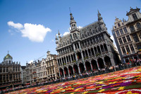 Flower carpet, Grand Place, Brussels