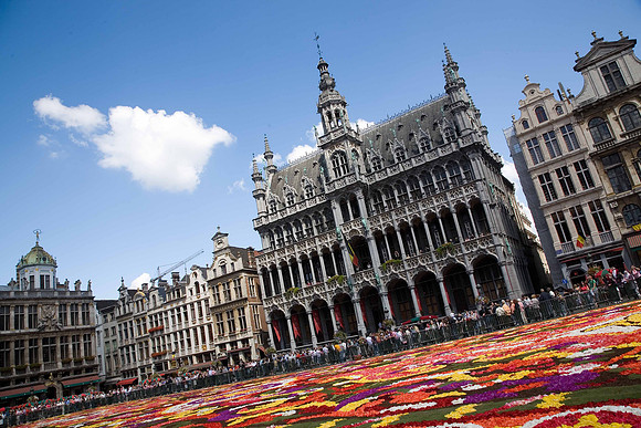 Flower carpet, Grand Place, Brussels